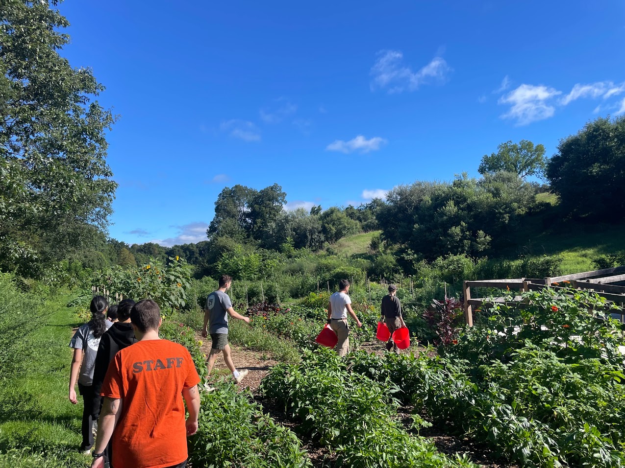 Community Outreach volunteers garden during a service trip.